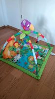 Dschungel Spielbogen / Erlebnisdecke von Fisher Price Baden-Württemberg - Heilbronn Vorschau