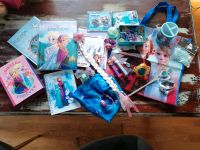 Disney Frozen Eiskönigin Anna, Elsa, Fan Paket, Sammler Konvolut Rheinland-Pfalz - Mayschoß Vorschau