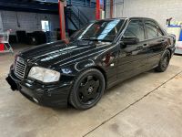 Mercedes-Benz C43 AMG Limousine W202 Nordrhein-Westfalen - Paderborn Vorschau