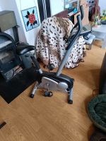 Stamm Bodyfit Ergometer Ergo Pro Niedersachsen - Nordenham Vorschau