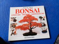 Buch Ratgeber Bonsai Anzucht, Pflege, Gestaltung Baden-Württemberg - Oberderdingen Vorschau