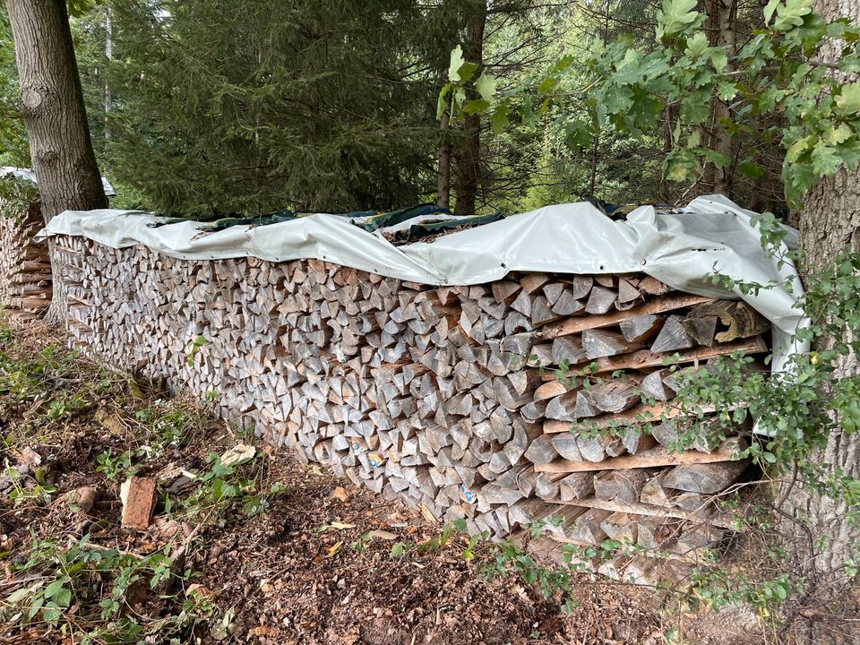 Brennholz • Fichte/Tanne • trocken • gespalten • 1m in Bühlerzell