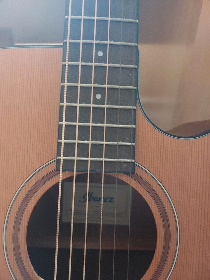 Ibanez aw65ece-lg Gitarre in Stade