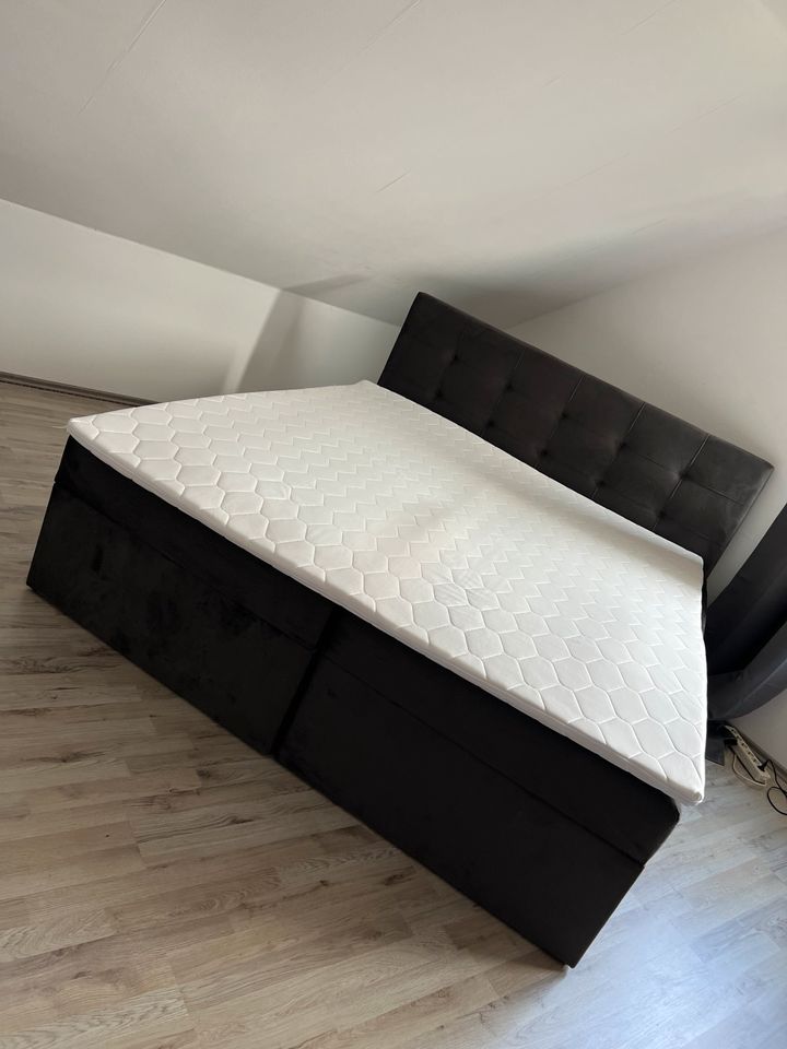 Boxspringbett in Neustadt an der Weinstraße