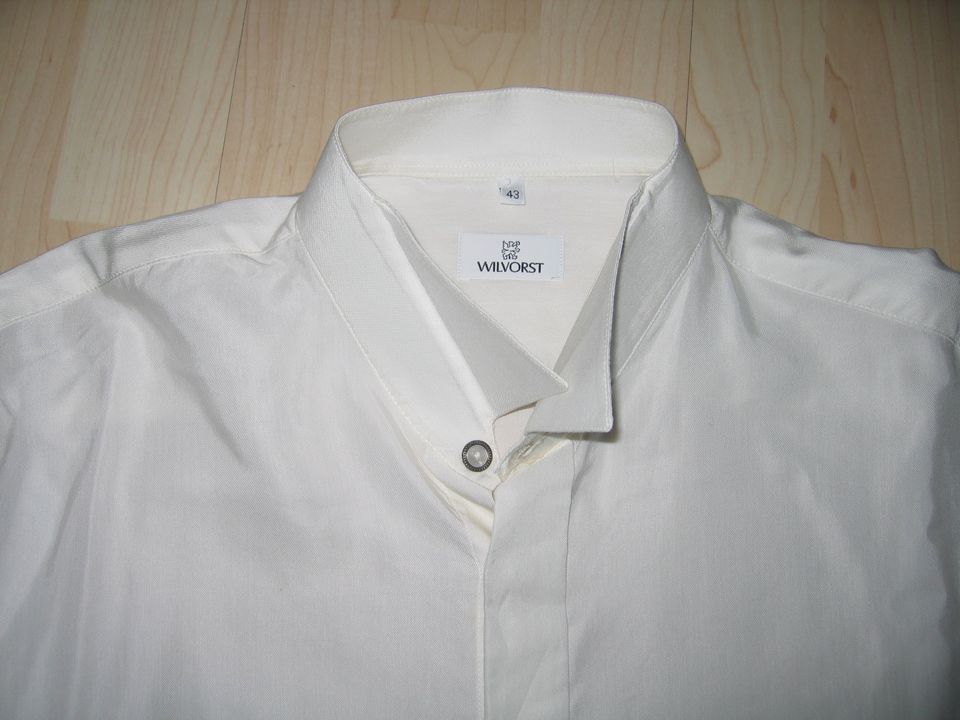 Wilforst Hemd Gr.43 / Hochzeitsweste / Plastron mit Einstecktuch in Aschaffenburg