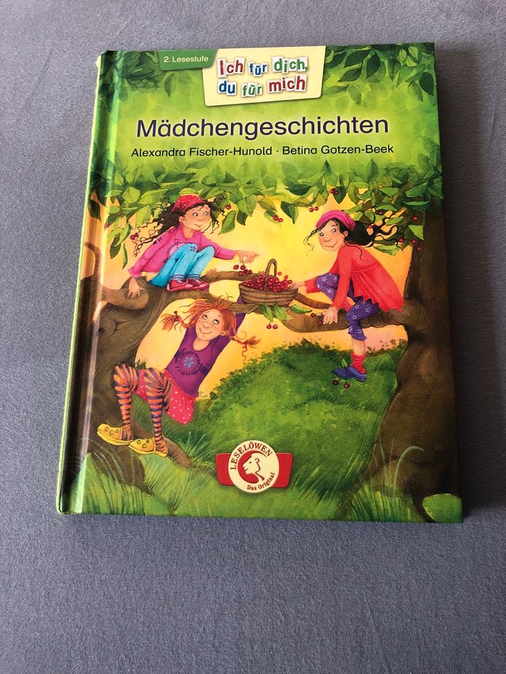 Buch Kinder Erstleser Mädchengeschichten *sehr guter Zustand * in Villingen-Schwenningen
