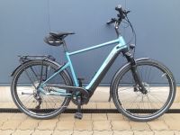 PEGASUS Premio EVO 10 Lite Herren E-Pedelec Trekkingrad Rh: 55 cm Nordrhein-Westfalen - Dorsten Vorschau