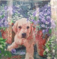 NEU! Diamond Painting Set Golden Retriver Welpe 30x30cm Nordrhein-Westfalen - Hilden Vorschau