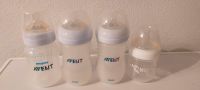 3 Philips Avent und 1 Nuk Flasche Nordrhein-Westfalen - Kalletal Vorschau