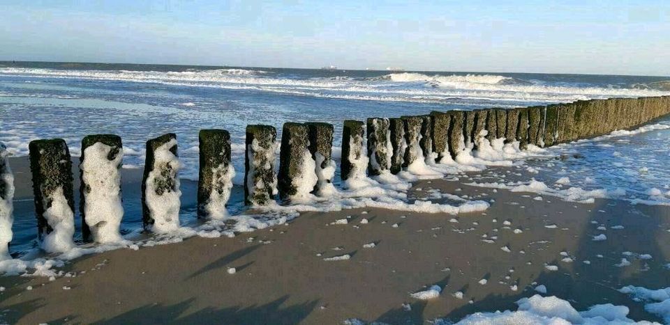 Ferienhaus Holland Zeeland Cadzand- URLAUB AM MEER,FERIEN 2024 in Dormagen