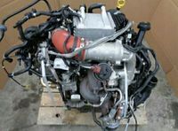 Motor  VW T6 CXE CXEB 2,0TDI 204PS 19TKM   Multivan Caravelle Mecklenburg-Vorpommern - Neubrandenburg Vorschau