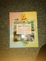 Kinderbuch Sammlung Winnie-the-Pooh Thüringen - Münchenbernsdorf Vorschau