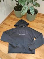 Zara xxs Pullover Sweat Hoodie 32 blaugrau Nordrhein-Westfalen - Delbrück Vorschau
