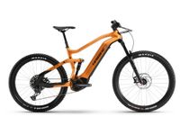 Haibike AllMtn CF 6 Bayern - Pfreimd Vorschau