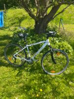 Sabotage Cross XT Mountainbike Fahrrad Rad Shimano Suntour Kreis Ostholstein - Neustadt in Holstein Vorschau