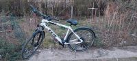 Exte Fahrrad "Crossfield" 26° Berlin - Hohenschönhausen Vorschau