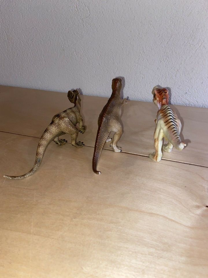 Dinosaurier von Schleich in Radebeul