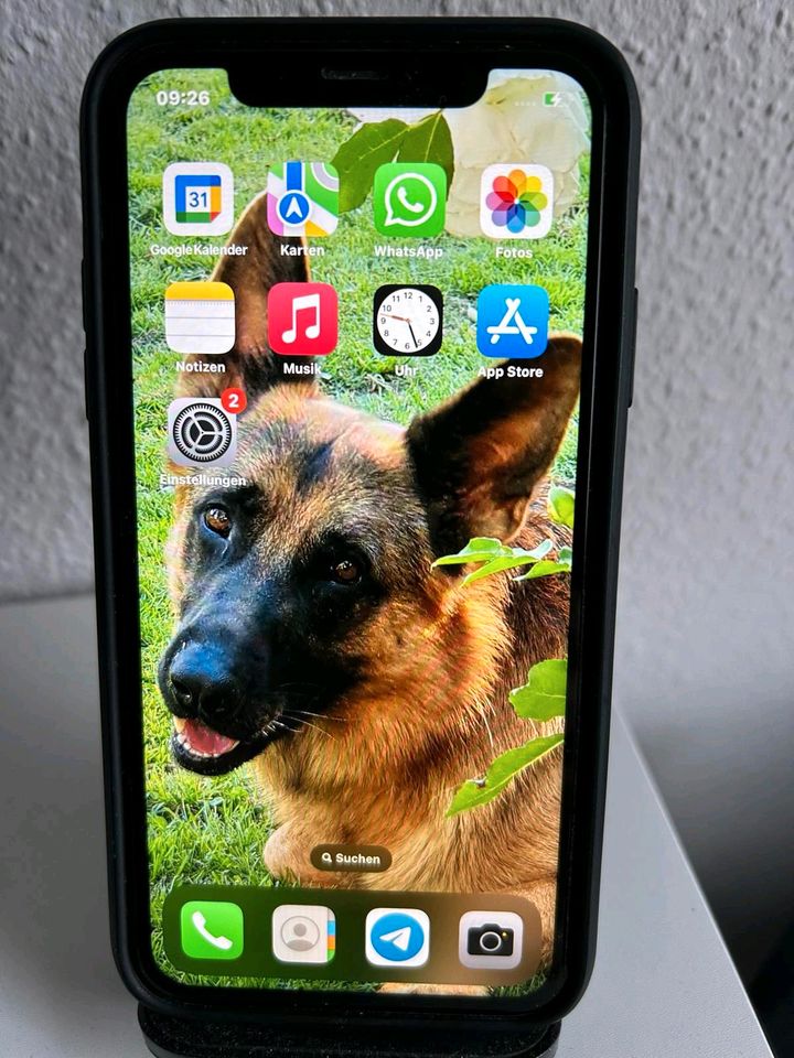 Apple iphone 11 in Winsen (Aller)