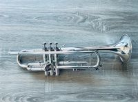Bach Stradivarius 43 B-Trompete NEU! Rheinland-Pfalz - Kaiserslautern Vorschau