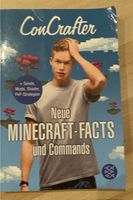 Minecraft Buch Kreis Ostholstein - Bad Schwartau Vorschau