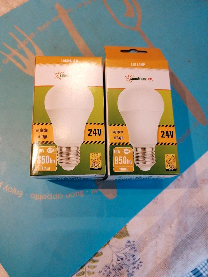 LED Glühlampe Birne E27 24 Volt in Rheinland-Pfalz - Schwegenheim, Lampen  gebraucht kaufen