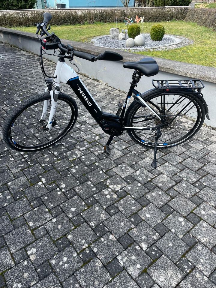 E-Bike Pegasus Premium EVO 10 Tiefeinsteiger  Pedelec 28 in Schwanfeld