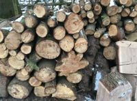 Günstiges Feuerholz Kaminholz Brennholz Ofenholz 65€/srm liefern Schleswig-Holstein - Kayhude Vorschau