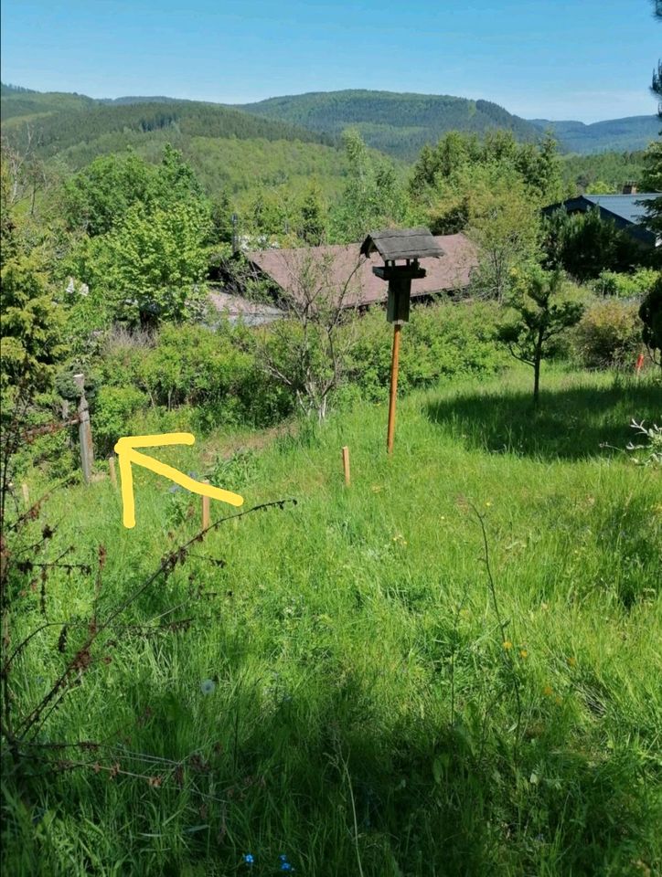 Bauplatz in Friedrichsdorf /Eberbach /Odenwald in Riedstadt