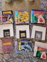 Game Boy Color Spiele Thüringen - Untermaßfeld Vorschau