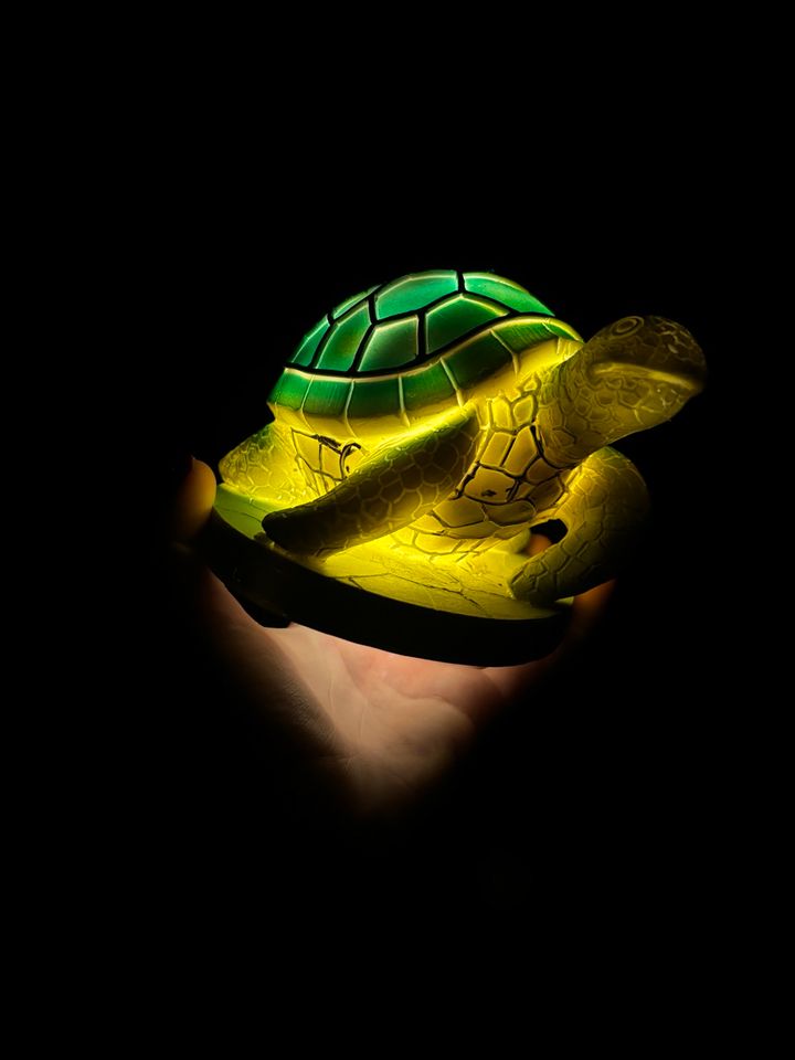 Schildkröte-Lampe in Westeregeln