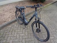 Trenoli Brenta Comodo - E Bike / Pedelec - Neu Schleswig-Holstein - Eckernförde Vorschau