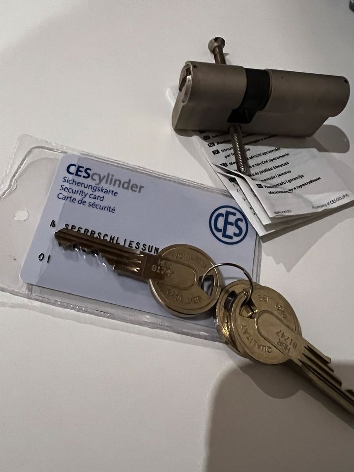 CES 810 Schließzylinder Profilzylinder 27,5/40,5mm in Bad Wünnenberg