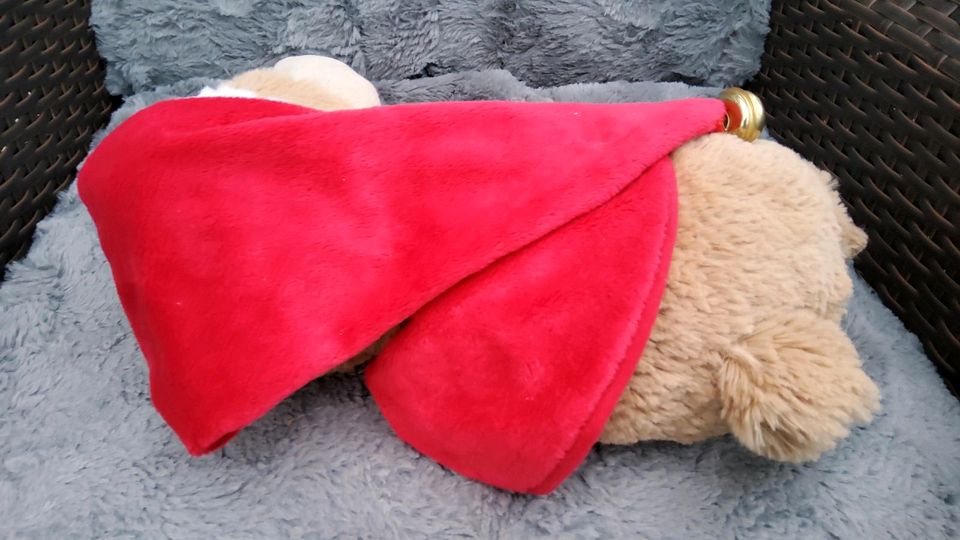 Teddy/Weihnachtsbär in Zierenberg