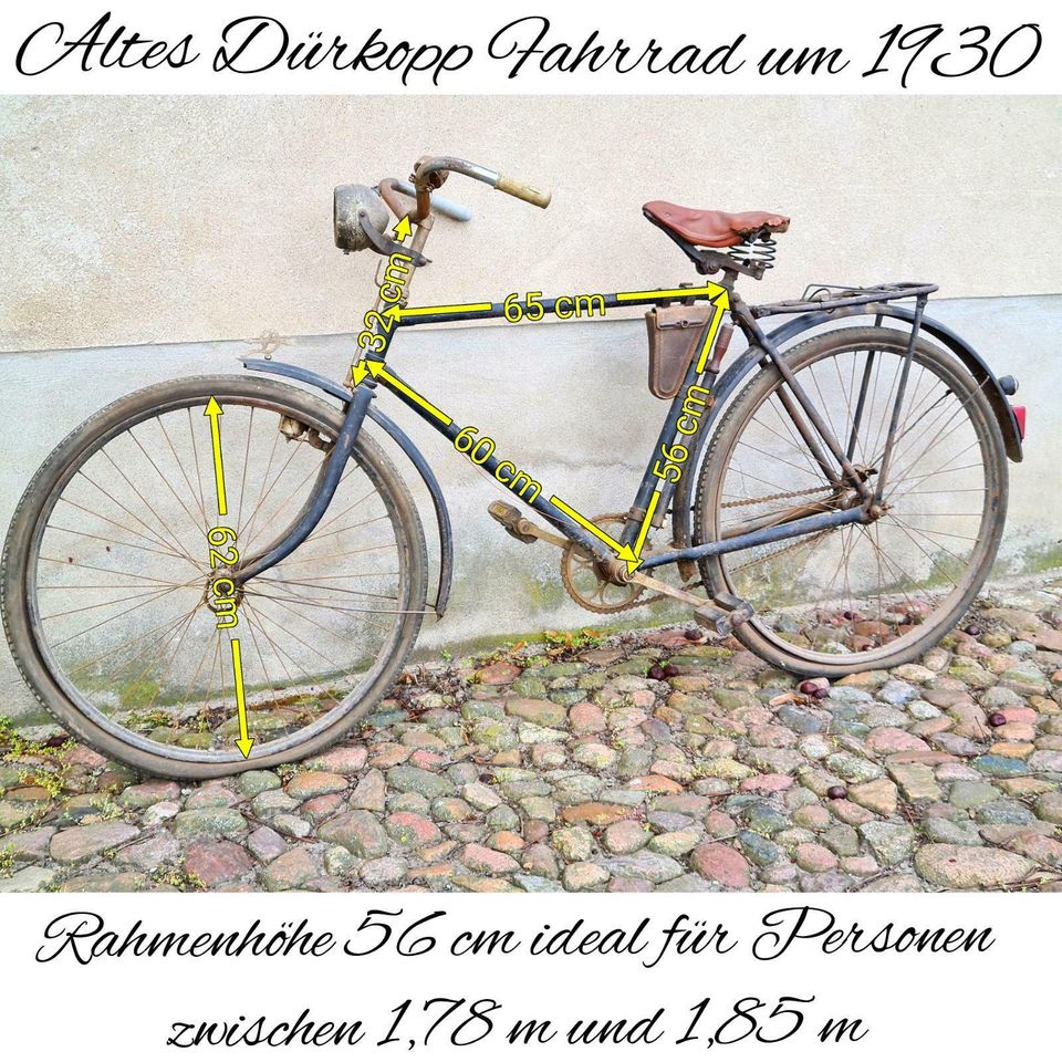 Dürkopp Vorkrieg Oldtimer Fahrrad Herrenrad RH 56 kein NSU Miele in Gommern