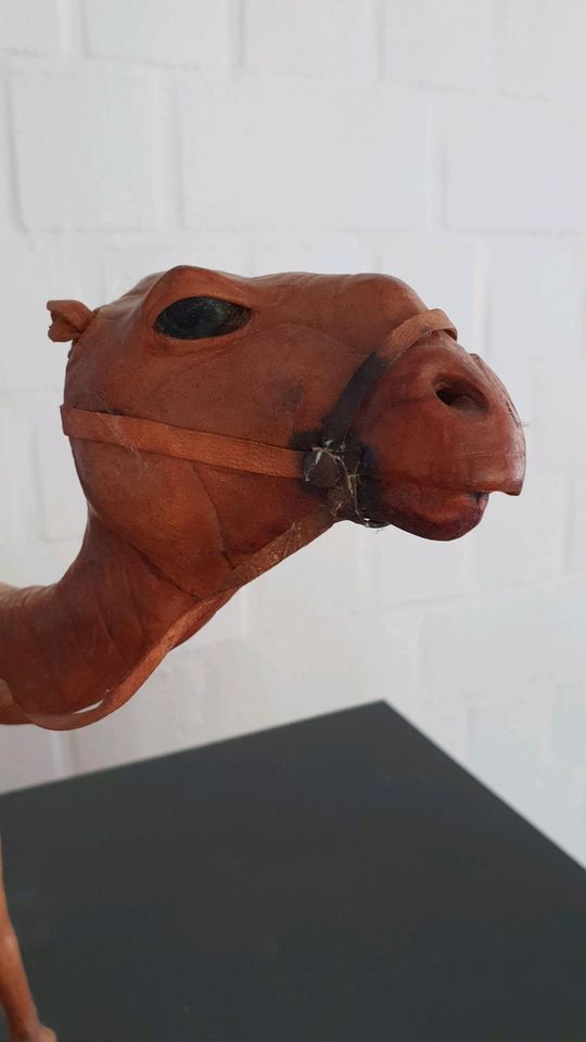 Kunstwerk realistische Holzfigur Kamel aus Afrika in Hildesheim