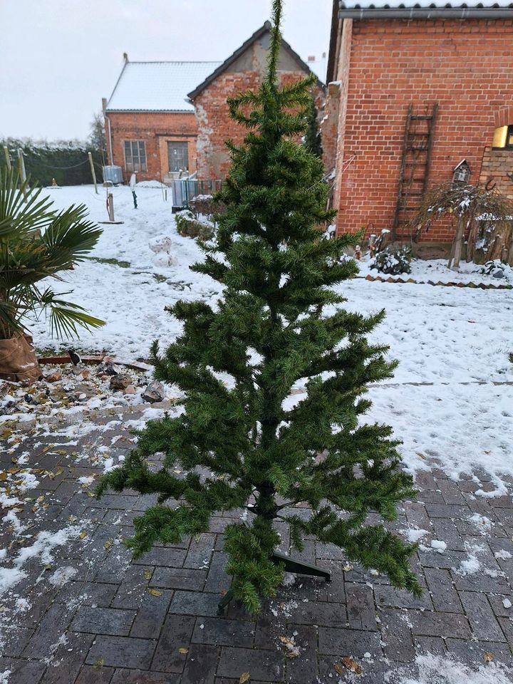 Künstlicher Weihnachtsbaum in Bismark (Altmark)