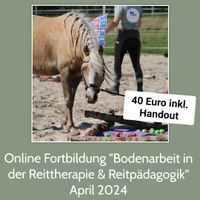 Online Seminar Bodenarbeit in der Reittherapie & Reitpädagogik Brandenburg - Wittenberge Vorschau