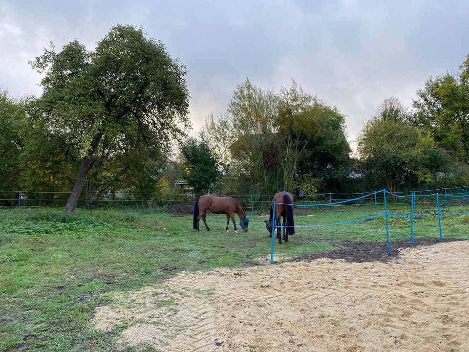 Stall Offenstall 2 Plätze frei Halbpension/ Selbstversorger in Knüllwald