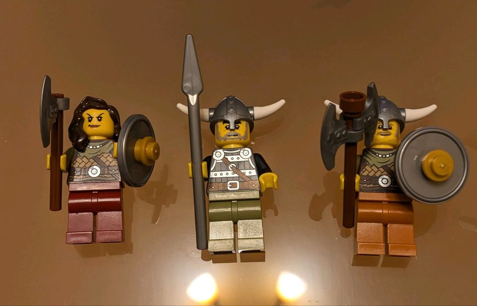 Lego 31132 21343 Wikinger Set Barbaren Vikings Konvolut wie neu! in Rotenburg