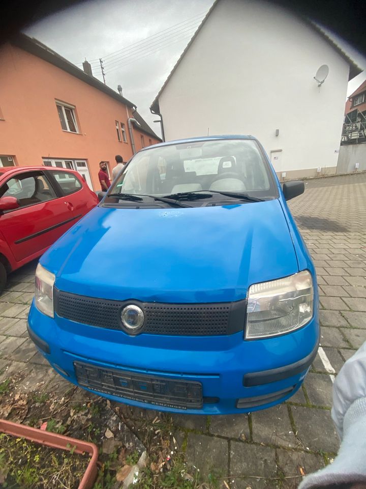 Fiat Panda 1,2L in Kenzingen