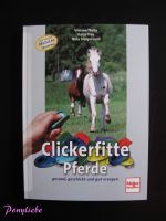 Clickerfitte Pferde Hessen - Schwalmstadt Vorschau
