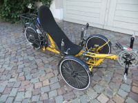 Liegerad Trike Mad Max EVO 1 Baden-Württemberg - Hüfingen Vorschau