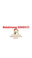 Haussuche Belohnung 3000 € !!! Nordrhein-Westfalen - Herford Vorschau