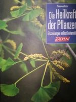 Die Heilkraft der Pflanzen Heilpflanzen Rheinland-Pfalz - Ludwigshafen Vorschau