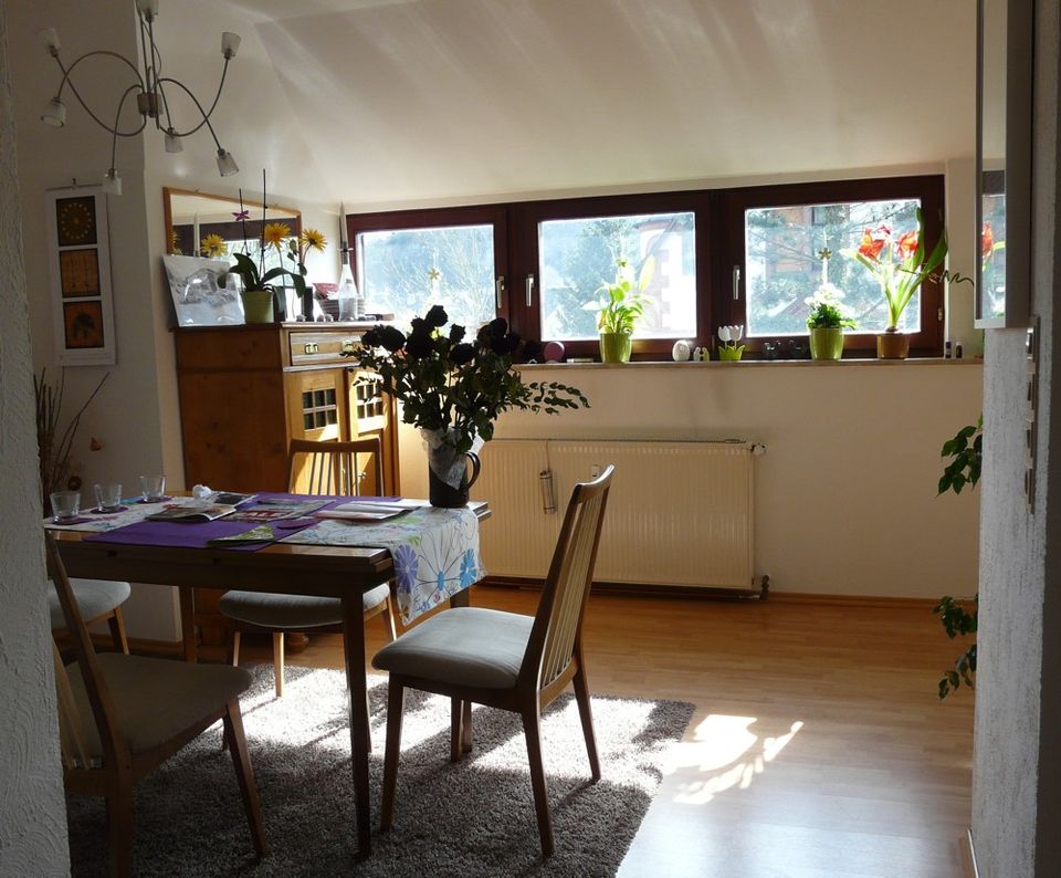 Schöne Wohnung mit Dachterrasse, zentral gelegen in Dillenburg