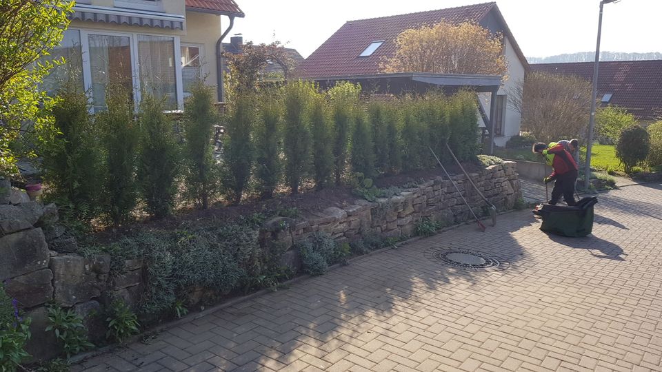 Gartenpflege - Baumfällungen - Baumpflege in Holzerode