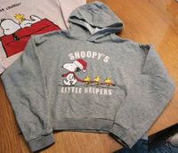 Pullover H&M Snoopy 158/164 XS voll süß! Sachsen-Anhalt - Woltersdorf SA Vorschau