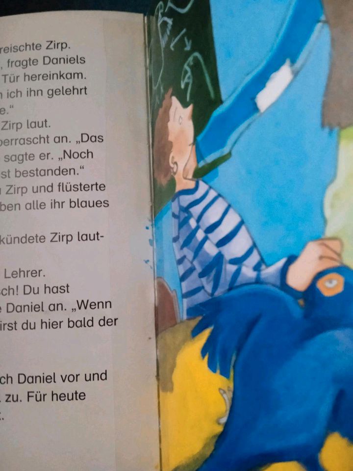 10 Leselöwen,... Tiger Fussball Kinder Bücher in Lichtenfels