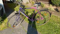 Arabella Fahrrad 28 Zoll, alt Nordrhein-Westfalen - Hagen Vorschau