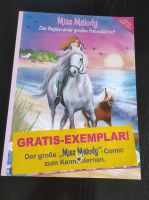 Miss Melody Comic Pferd Pferde Hessen - Elz Vorschau